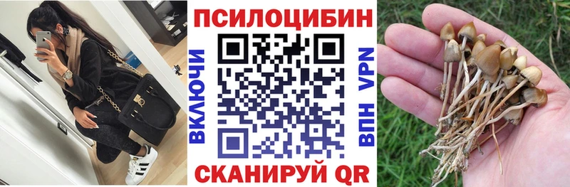 как найти закладки  hydra онион  Псилоцибиновые грибы MAGIC MUSHROOMS  Партизанск 