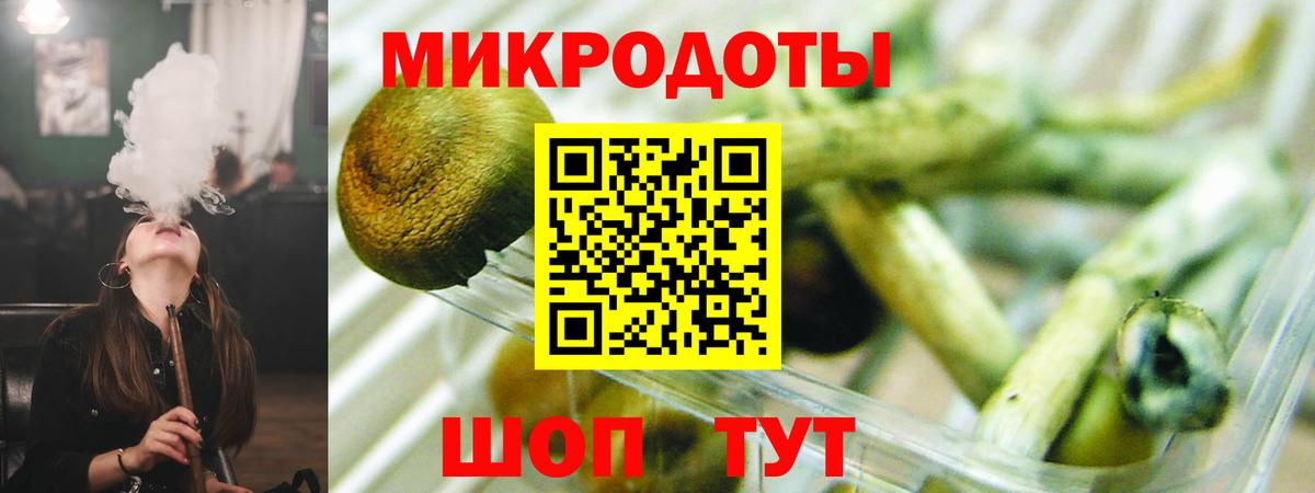 Псилоцибиновые грибы Cubensis  Вход с VPN  Партизанск 
